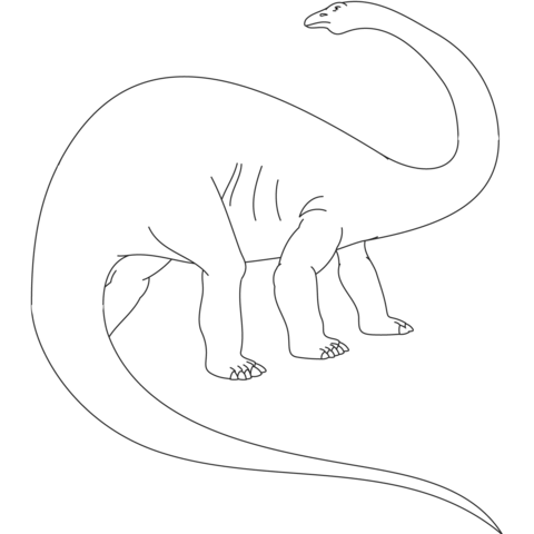 Apatosaurus Jurassic Dinosaur Coloring Page